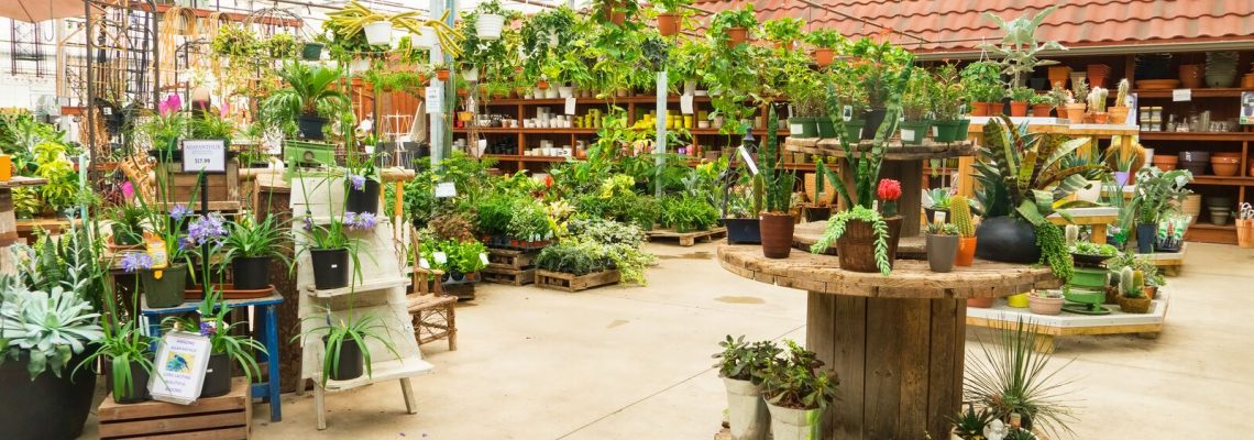 vegetation for algernon alice kinnian quotes gardening hints for home