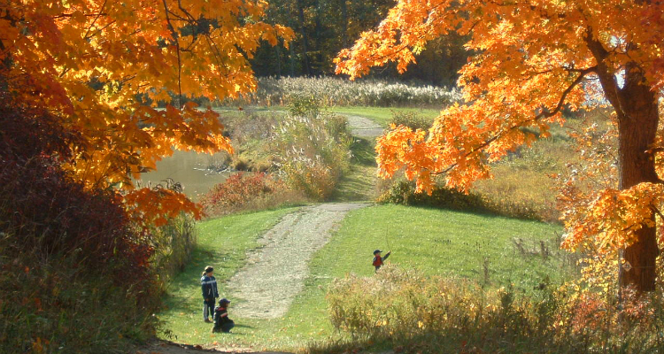 Lorne C. Henderson Conservation Area