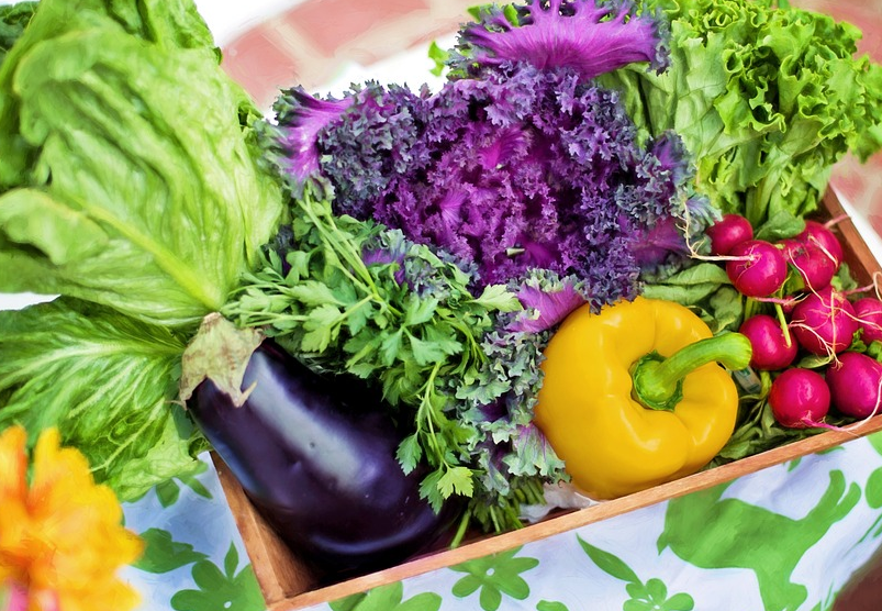 Berryhill Farm Ontario's Blue Coast